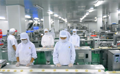 食品厂霉菌污染防控策略 净化车间与设备专用消毒剂的科学应用