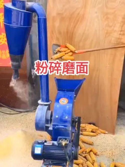 “家禽养殖增效降本”的五个实用秘诀