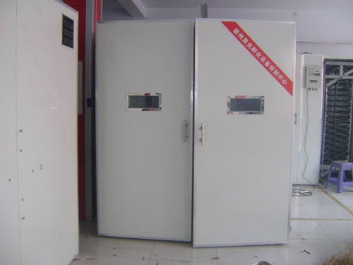 晨光专业制造 高品质孵鸡设备助力家禽养殖现代化